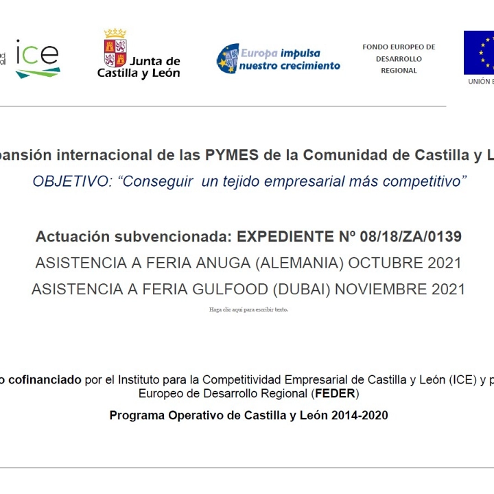 2021 - Expansión internacional de las PYMES de la Comunidad de Castilla y León 2021 - Expansión internacional de las PYMES de la Comunidad de Castilla y León
