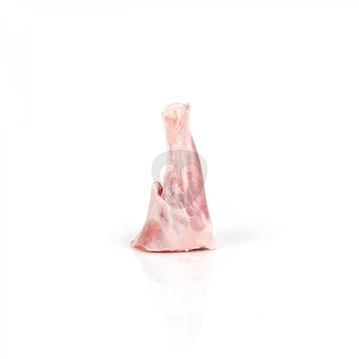 ラムシャンク ラムシャンク