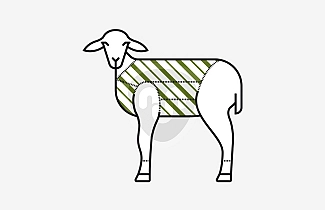 لحم الضأنخروف بدون الرأس والأرجل لحم الضأنخروف بدون الرأس والأرجل